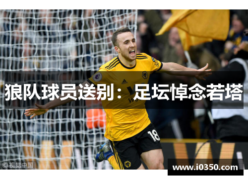 狼队球员送别：足坛悼念若塔
